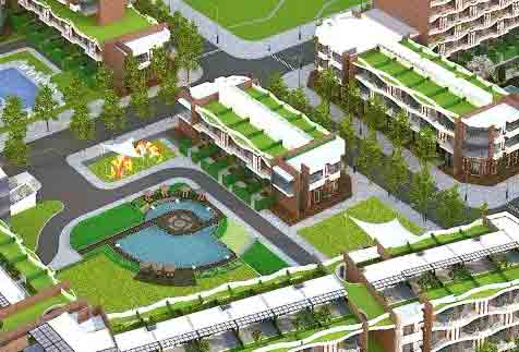 LakeView 5